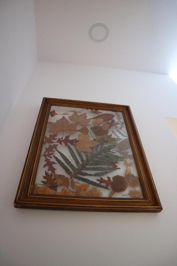 Casa Das Antas Порто Екстериор снимка